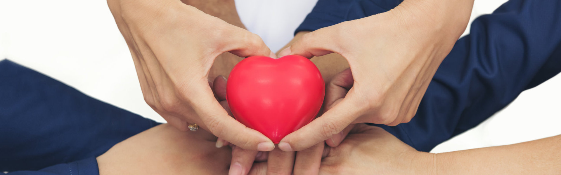 Hands holding a heart-shaped thing